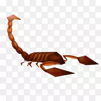 无脊椎动物剪贴画.水百合-空若网 无脊椎动物剪贴画.水百合-空若网