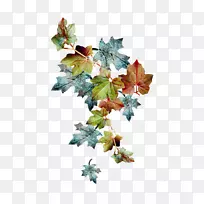 ʥ����װ��Ҷ֦-����-������