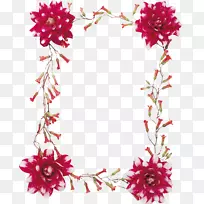 切花花型花瓣-空若网 切花花型花瓣-空若网