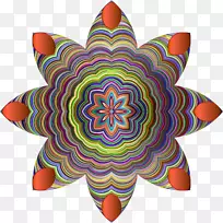 对称圆型星-空若网 对称圆型星-空若网