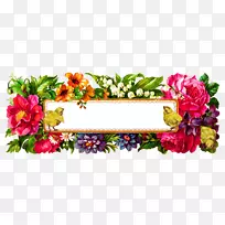 花红无粉标签-空若网 花红无粉标签-空若网