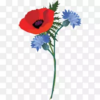 �л���ƻ���������-������