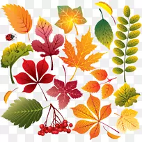 ��Ҷ-������