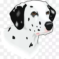 达尔马提亚狗,达马提亚剪贴画-小狗-空若网 达尔马提亚狗,达马提亚剪贴画-小狗-空若网