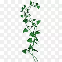 博客剪贴画-叶子-空若网 博客剪贴画-叶子-空若网