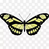 ����������Ƥ����������˹�滭������-����-������