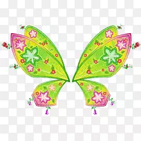 蝴蝶、昆虫、传粉者、无脊椎动物-翅膀-空若网 蝴蝶、昆虫、传粉者、无脊椎动物-翅膀-空若网