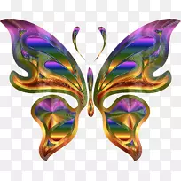 蝴蝶昆虫桌面壁纸夹艺术-蝴蝶-空若网 蝴蝶昆虫桌面壁纸夹艺术-蝴蝶-空若网