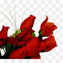 切花玫瑰花卉设计-空若网 切花玫瑰花卉设计-空若网