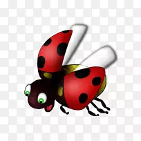 瓢虫博客甲虫日记剪辑艺术-苍蝇-空若网 瓢虫博客甲虫日记剪辑艺术-苍蝇-空若网