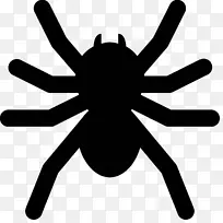 蜘蛛电脑图标设计下载剪辑艺术-澳大利亚-空若网 蜘蛛电脑图标设计下载剪辑艺术-澳大利亚-空若网