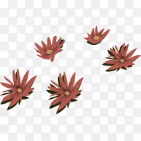 ����Ұ�ٺ�-������