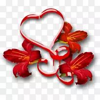 情人节爱情假期-卡蒂凯亚-空若网 情人节爱情假期-卡蒂凯亚-空若网