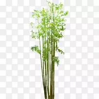 ��ذ�-��PNGͼ��-������