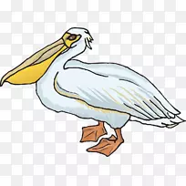 鸟画夹艺术-翅膀-空若网 鸟画夹艺术-翅膀-空若网