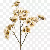 �л���ɫ��-������