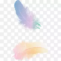 羽毛笔蝇-空若网 羽毛笔蝇-空若网