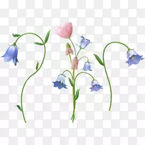 剪贴画-加妮亚-空若网 剪贴画-加妮亚-空若网