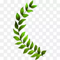 海草植物海藻剪贴画-草-空若网 海草植物海藻剪贴画-草-空若网