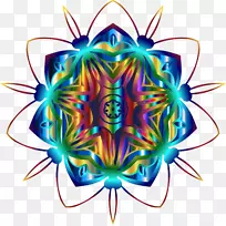 ƽ����ƶԳ���Ͳ�ߺ�ƽ����-������