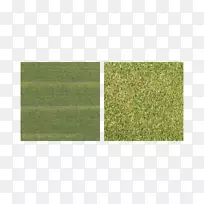 草坪绿草角小草-空若网 草坪绿草角小草-空若网