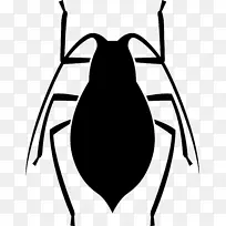 �������ͼ�������.ư��-������