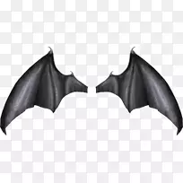 ���������и���ճ�����������-������