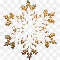 ѩ������-������