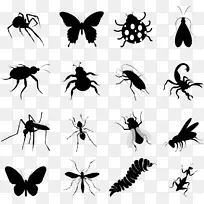 昆虫剪影蝴蝶剪贴画昆虫剪影-空若网 昆虫剪影蝴蝶剪贴画昆虫剪影-空若网