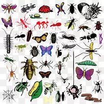 ����������ڼ׳�����-������