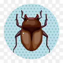 昆虫卡通插图-昆虫的漏洞-空若网 昆虫卡通插图-昆虫的漏洞-空若网