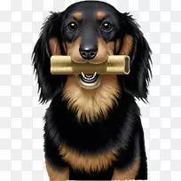 博客狗-空若网 博客狗-空若网