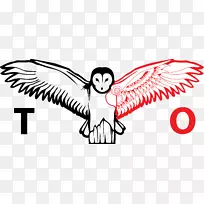 ���ȿ�ƿ��-���-������