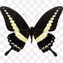 ��β������-������