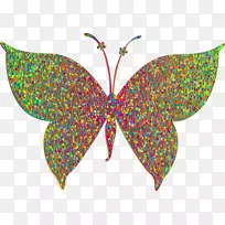 蝴蝶蛾彩色昆虫剪贴画-蝴蝶-空若网 蝴蝶蛾彩色昆虫剪贴画-蝴蝶-空若网