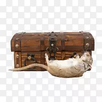 衣箱服装时尚-老鼠和老鼠-空若网 衣箱服装时尚-老鼠和老鼠-空若网