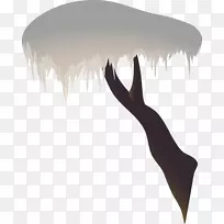 ��Ӱ��ָ������-��ɼ-������