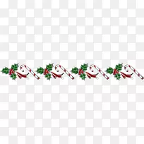 ��ɫֲ��ʥ���ǹ�-������