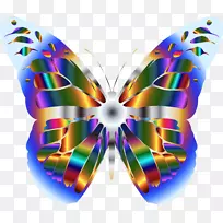 ��������������ƴ�����-����-������