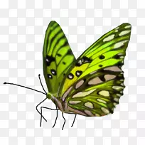 ºûµû·´²£Á§»Æ¬ÒÕÊõ-ºûµû-¿ÕÈôÍø ºûµû·´²£Á§»Æ¬ÒÕÊõ-ºûµû-¿ÕÈôÍø