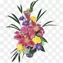 生日电脑软件adobe首映式-空若网 生日电脑软件adobe首映式-空若网