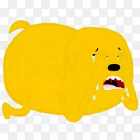 狗,犬科,鼻子,食肉动物-芬恩·巴洛尔-空若网 狗,犬科,鼻子,食肉动物-芬恩·巴洛尔-空若网