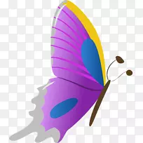 �������洫�����϶����ϵ�-������