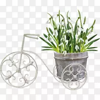 �����ʼ���5��1��-������