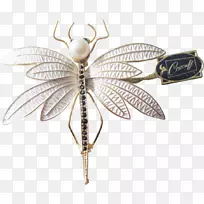 昆虫珠宝蝴蝶服装配件传粉者-蜻蜓-空若网 昆虫珠宝蝴蝶服装配件传粉者-蜻蜓-空若网