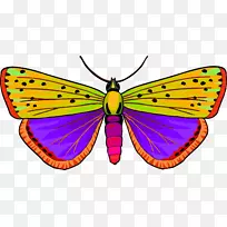 蝴蝶电脑图标剪贴画昆虫-空若网 蝴蝶电脑图标剪贴画昆虫-空若网