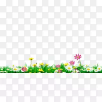 ������Ȼ-�ʻ�ʢ������Ȼ����-������