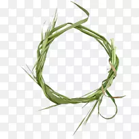 ����������.Ԫ��-������