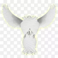 人像翅膀-空若网 人像翅膀-空若网