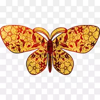 ��������ɶ������-����-������